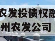 汝阳农发投债权融资项目,汝州农发公司