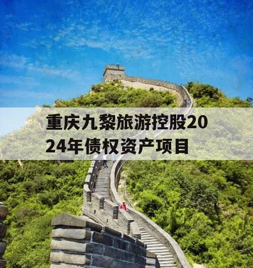 重庆九黎旅游控股2024年债权资产项目