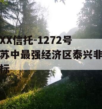 XX信托-1272号苏中最强经济区泰兴非标