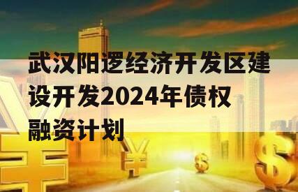 武汉阳逻经济开发区建设开发2024年债权融资计划