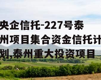 央企信托-227号泰州项目集合资金信托计划,泰州重大投资项目