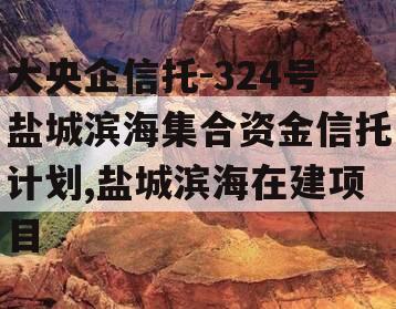 大央企信托-324号盐城滨海集合资金信托计划,盐城滨海在建项目