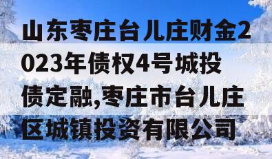 山东枣庄台儿庄财金2023年债权4号城投债定融,枣庄市台儿庄区城镇投资有限公司