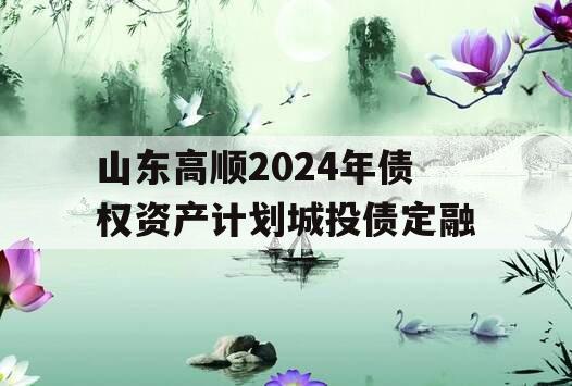 山东高顺2024年债权资产计划城投债定融