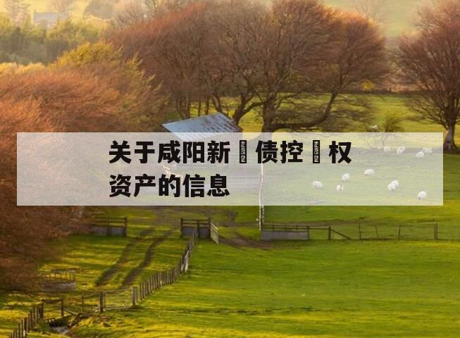 关于咸阳新‮债控‬权资产的信息