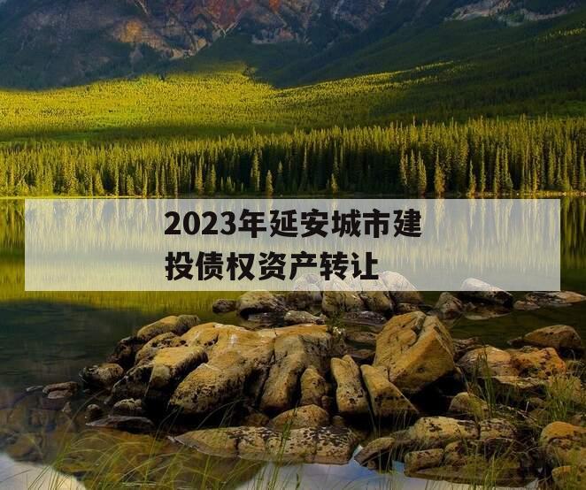 2023年延安城市建投债权资产转让