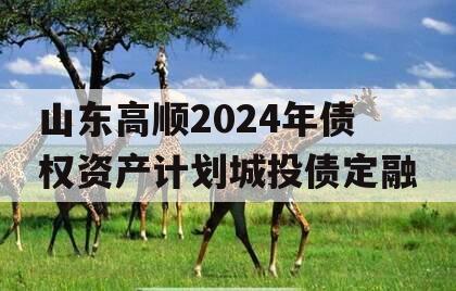 山东高顺2024年债权资产计划城投债定融