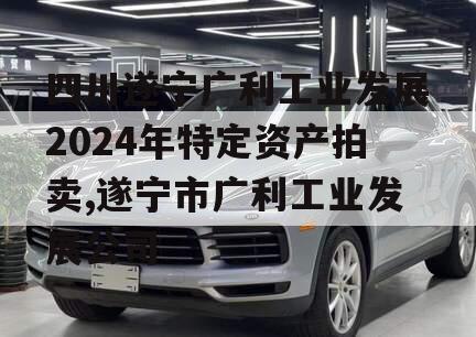 四川遂宁广利工业发展2024年特定资产拍卖,遂宁市广利工业发展公司