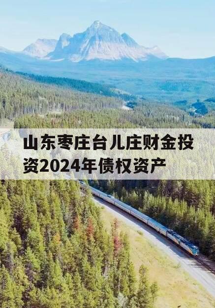 山东枣庄台儿庄财金投资2024年债权资产