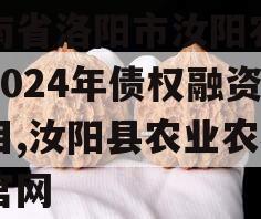 河南省洛阳市汝阳农发投2024年债权融资项目,汝阳县农业农村局官网