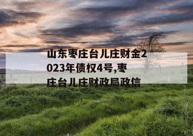 山东枣庄台儿庄财金2023年债权4号,枣庄台儿庄财政局政信