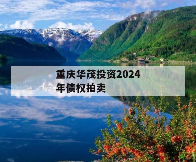 重庆华茂投资2024年债权拍卖