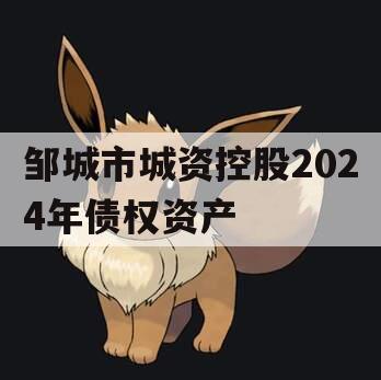 邹城市城资控股2024年债权资产