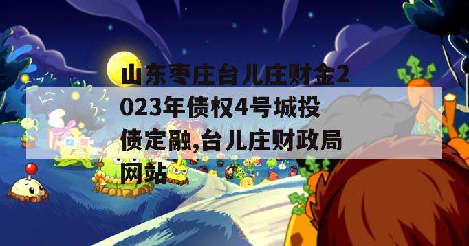 山东枣庄台儿庄财金2023年债权4号城投债定融,台儿庄财政局网站