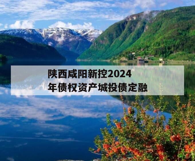 陕西咸阳新控2024年债权资产城投债定融