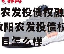 汝阳农发投债权融资项目,汝阳农发投债权融资项目怎么样