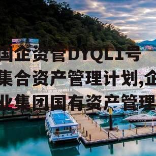 国企资管DYQL1号集合资产管理计划,企业集团国有资产管理