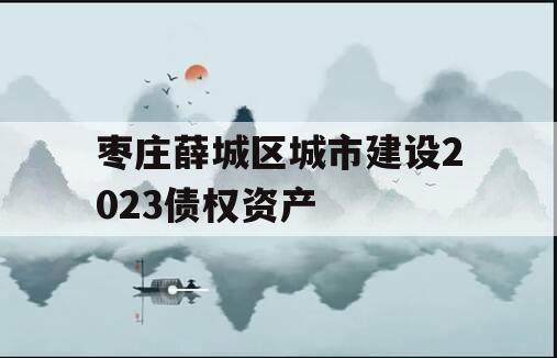 枣庄薛城区城市建设2023债权资产