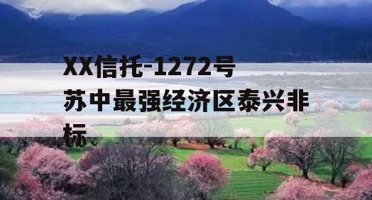 XX信托-1272号苏中最强经济区泰兴非标