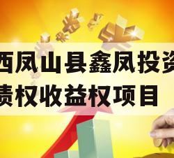 广西凤山县鑫凤投资发展债权收益权项目