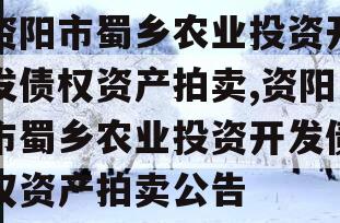 资阳市蜀乡农业投资开发债权资产拍卖,资阳市蜀乡农业投资开发债权资产拍卖公告