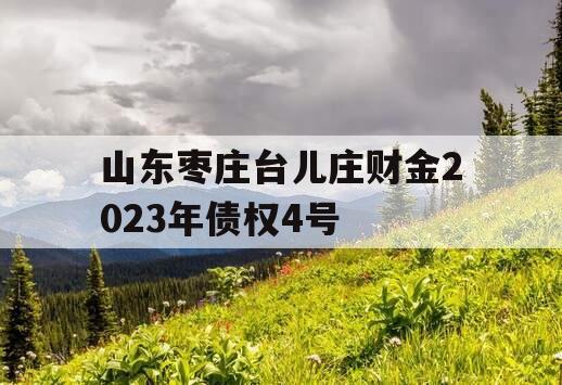 山东枣庄台儿庄财金2023年债权4号