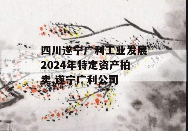 四川遂宁广利工业发展2024年特定资产拍卖,遂宁广利公司