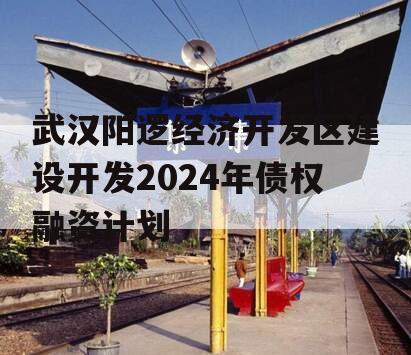 武汉阳逻经济开发区建设开发2024年债权融资计划