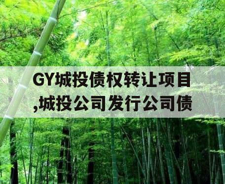 GY城投债权转让项目,城投公司发行公司债