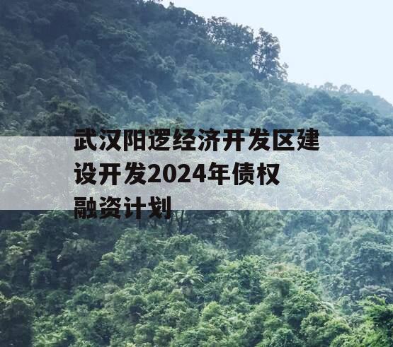 武汉阳逻经济开发区建设开发2024年债权融资计划