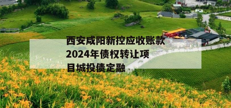 西安咸阳新控应收账款2024年债权转让项目城投债定融