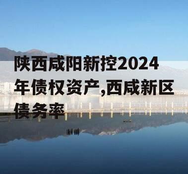 陕西咸阳新控2024年债权资产,西咸新区债务率