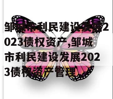 邹城市利民建设发展2023债权资产,邹城市利民建设发展2023债权资产管理