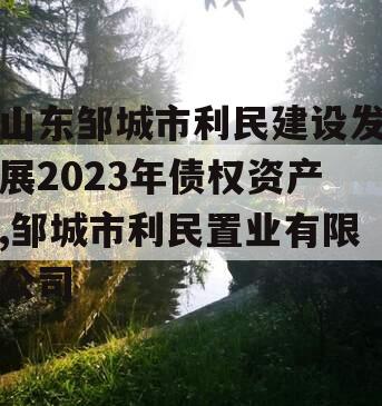 山东邹城市利民建设发展2023年债权资产,邹城市利民置业有限公司