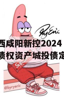 陕西咸阳新控2024年债权资产城投债定融