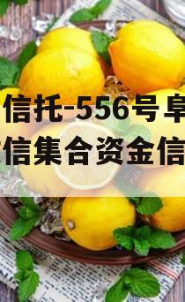 央企信托-556号阜宁政信集合资金信托计划