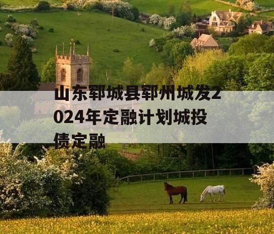 山东郓城县郓州城发2024年定融计划城投债定融