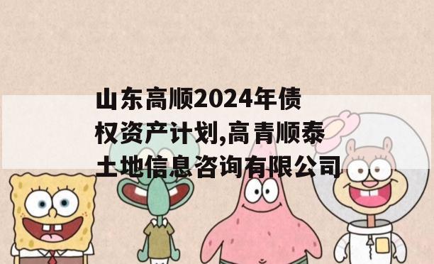 山东高顺2024年债权资产计划,高青顺泰土地信息咨询有限公司