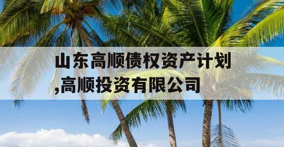 山东高顺债权资产计划,高顺投资有限公司