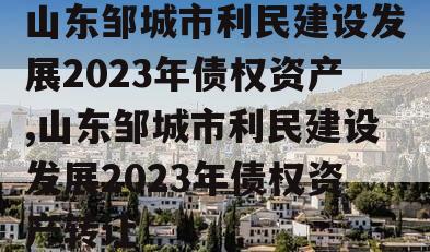 山东邹城市利民建设发展2023年债权资产,山东邹城市利民建设发展2023年债权资产转让