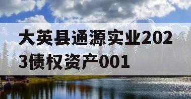 大英县通源实业2023债权资产001