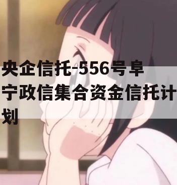 央企信托-556号阜宁政信集合资金信托计划