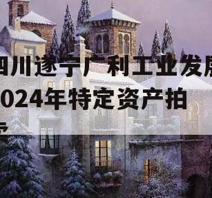 四川遂宁广利工业发展2024年特定资产拍卖