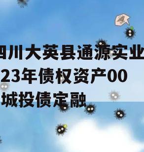 四川大英县通源实业2023年债权资产001城投债定融