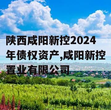 陕西咸阳新控2024年债权资产,咸阳新控置业有限公司