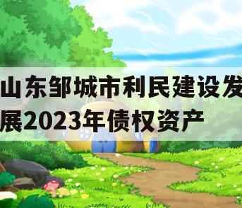 山东邹城市利民建设发展2023年债权资产