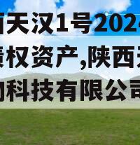 陕西天汉1号2024年债权资产,陕西天汉生物科技有限公司 概况