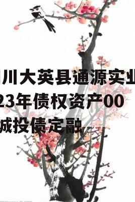 四川大英县通源实业2023年债权资产001城投债定融