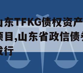 山东TFKG债权资产项目,山东省政信债券发行