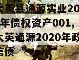 大英县通源实业2023年债权资产001,大英通源2020年政信债